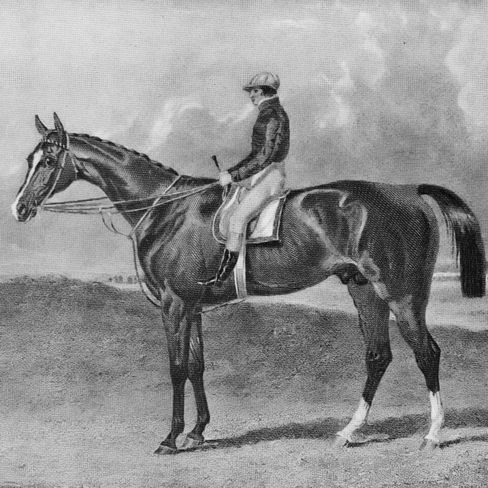 Nat Flatman and Orlando