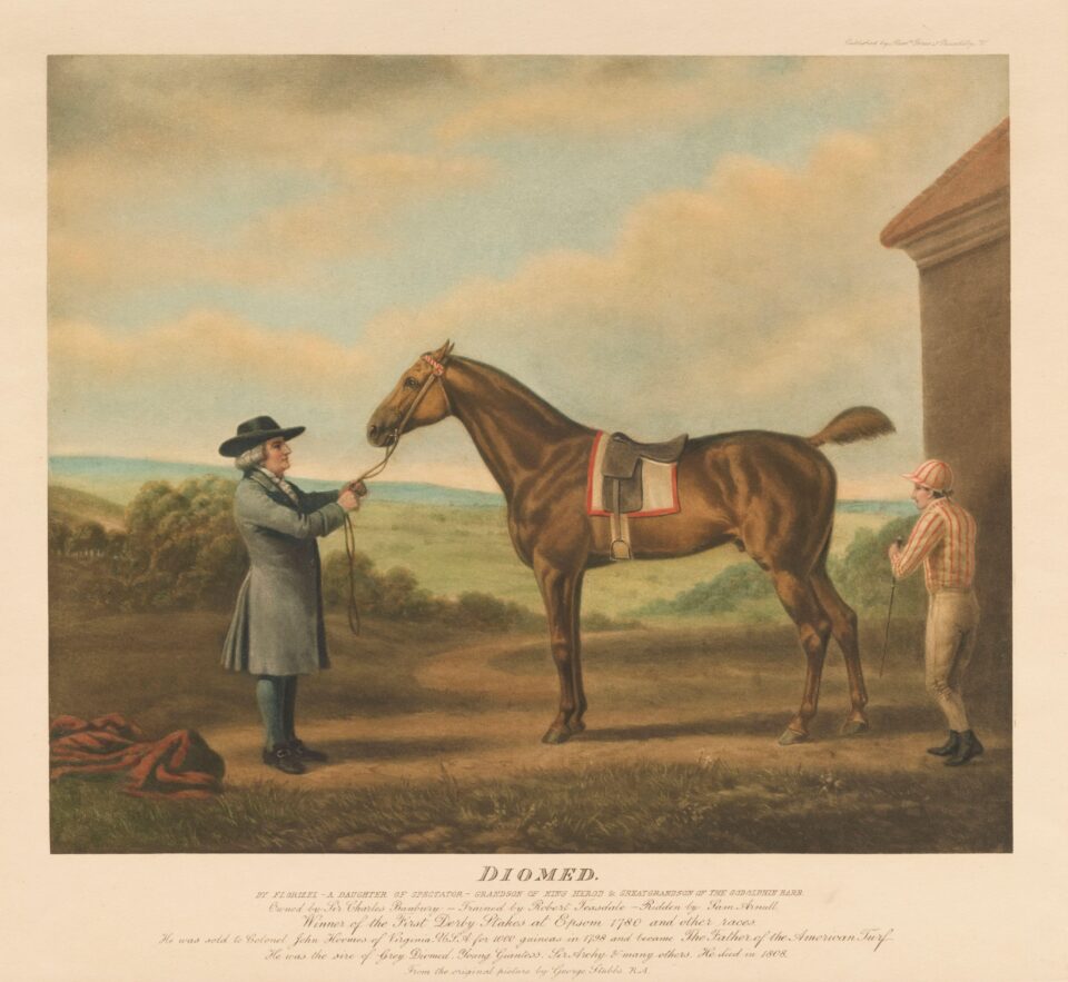 Painting of Diomed in Jockey Club Rooms