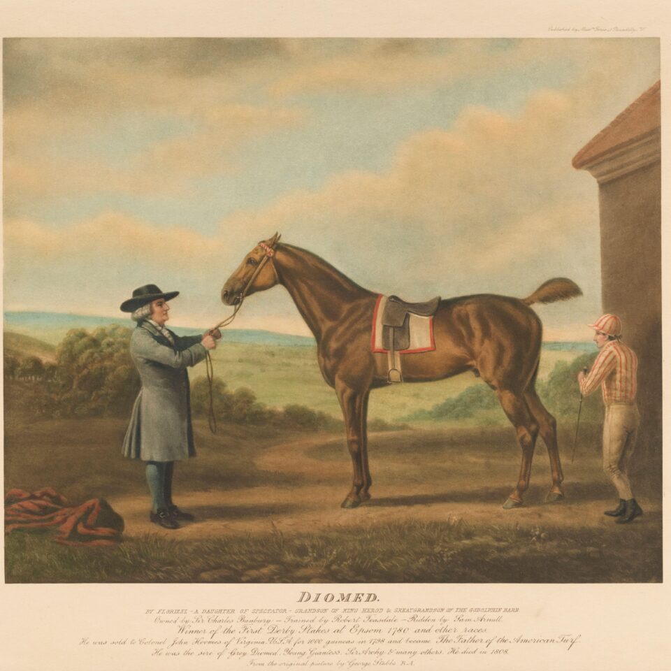 Painting of Diomed in Jockey Club Rooms