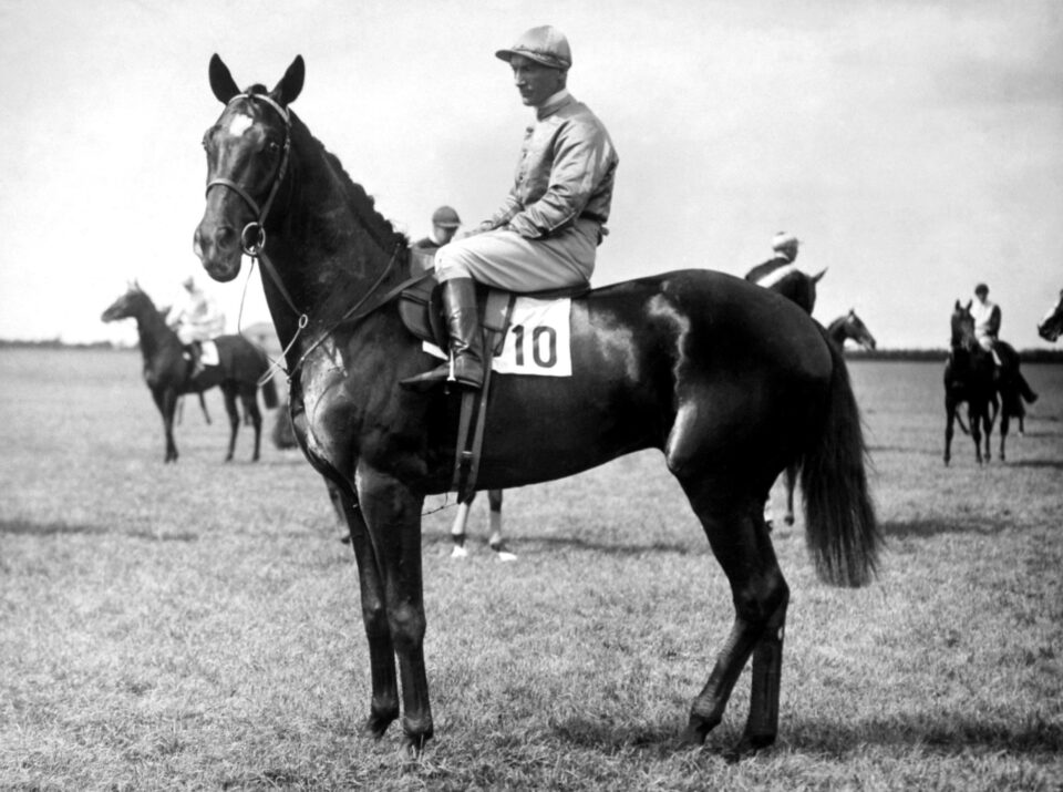 Steve Donoghue