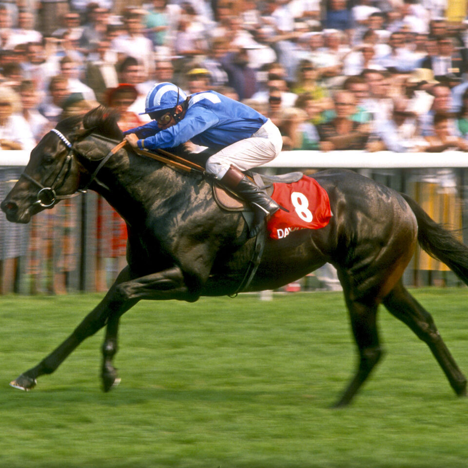 Dayjur Nunthorpe