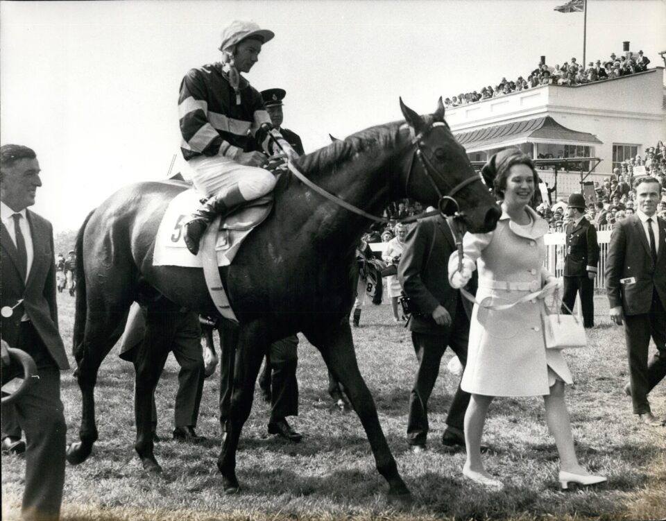Sir Ivor