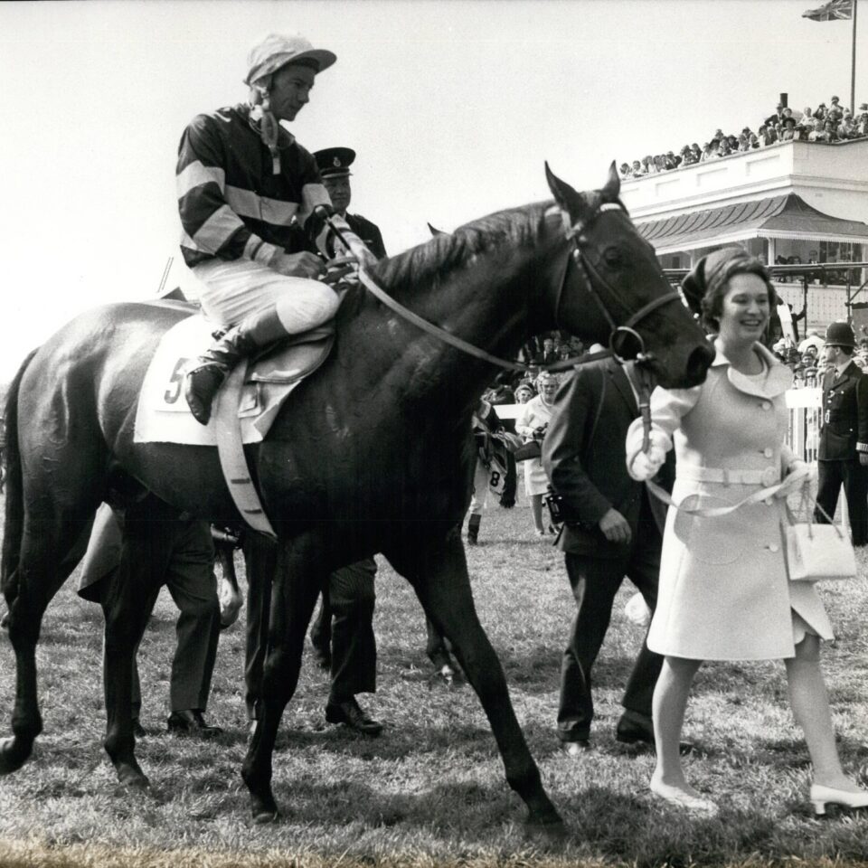 Sir Ivor