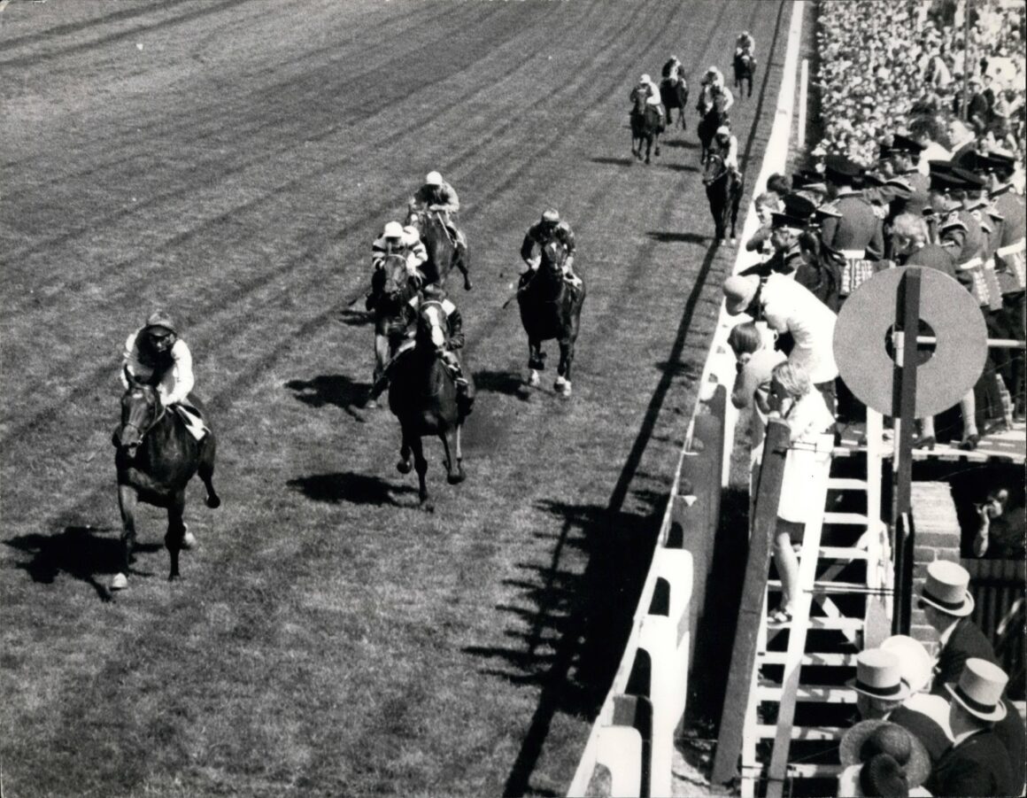 Nijinsky, Mill Reef and Brigadier Gerard sparkle in the seventies ...